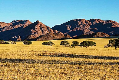 Savanne mit Bergen im Hintergrund Namibia