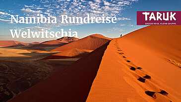Reisegruppe mit Reiseleiter wandern auf einer Düne in Soussusvlei in Namibia
