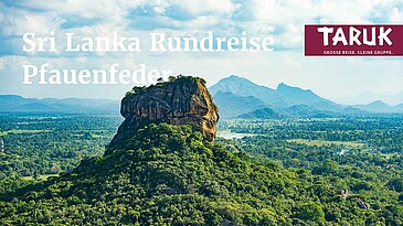 Sgiriya Felsen mit grüner Landschaft auf der Reise Pfauenfeder in Sri Lanka