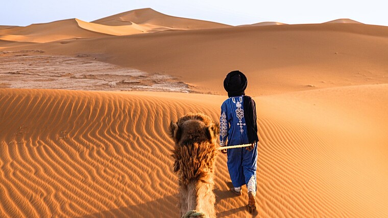 Perspektive des Reiters bei einem Kamelritt in der Wüste in Marokko