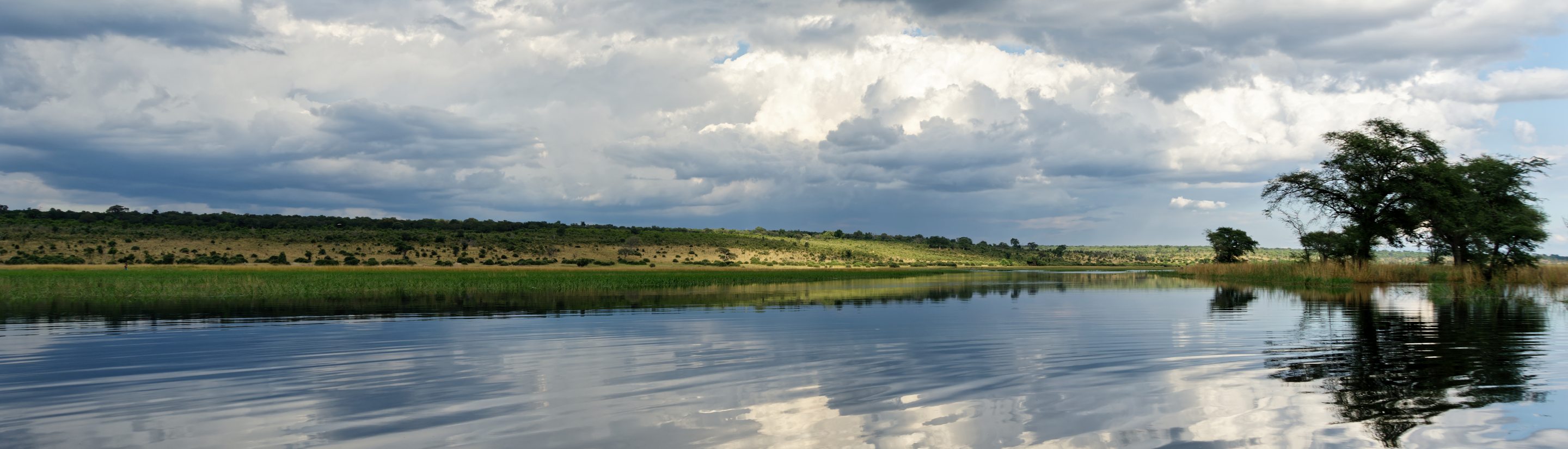 Der Chobe Nationalpark