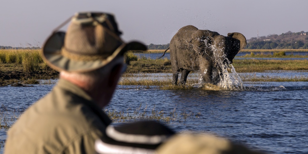 Safari-Gäste beobachten planschenden Elefanten im Chobe Nationalpark in Botswana