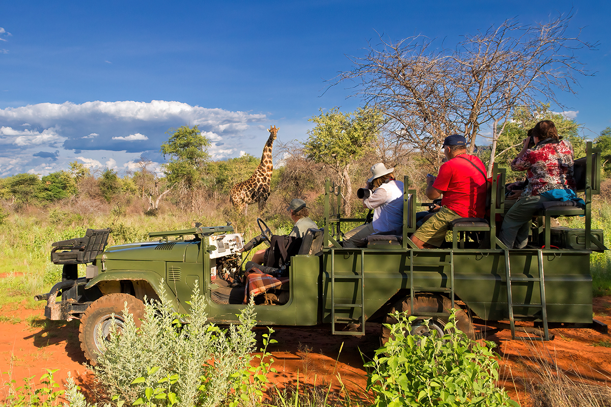 Namibia Gamedrive Fahrzeug Giraffe