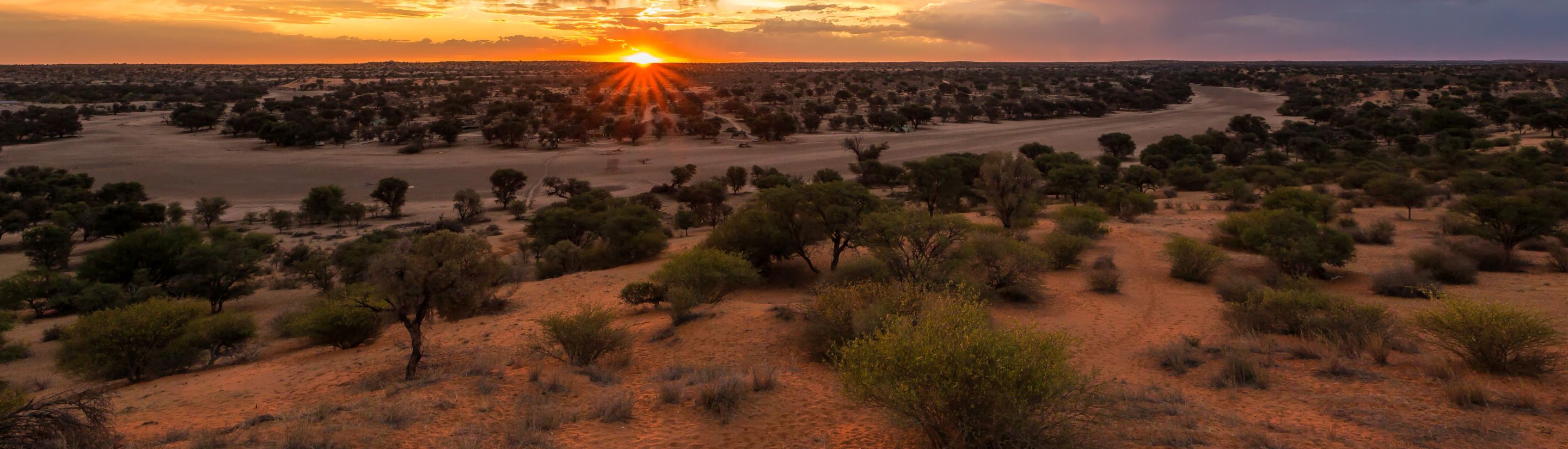 Kalahari Wüste - die Dornstrauchsavanne