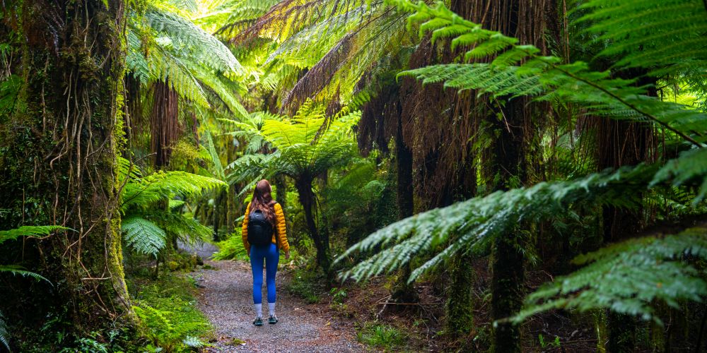 Frau im Regenwald der Catlins in Neuseeland