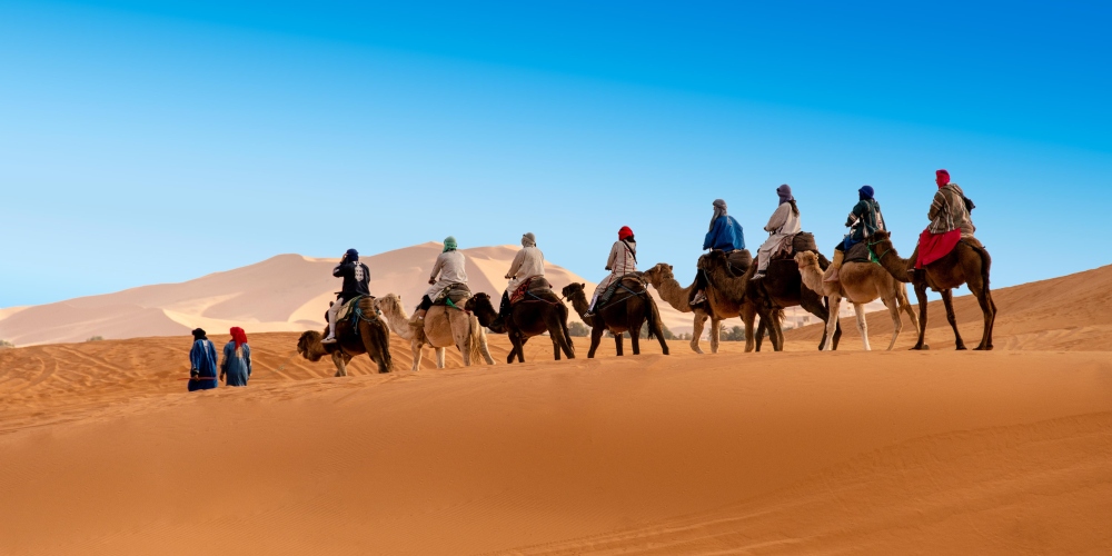 Kamele mit Reitern in der Wüste von Marokko