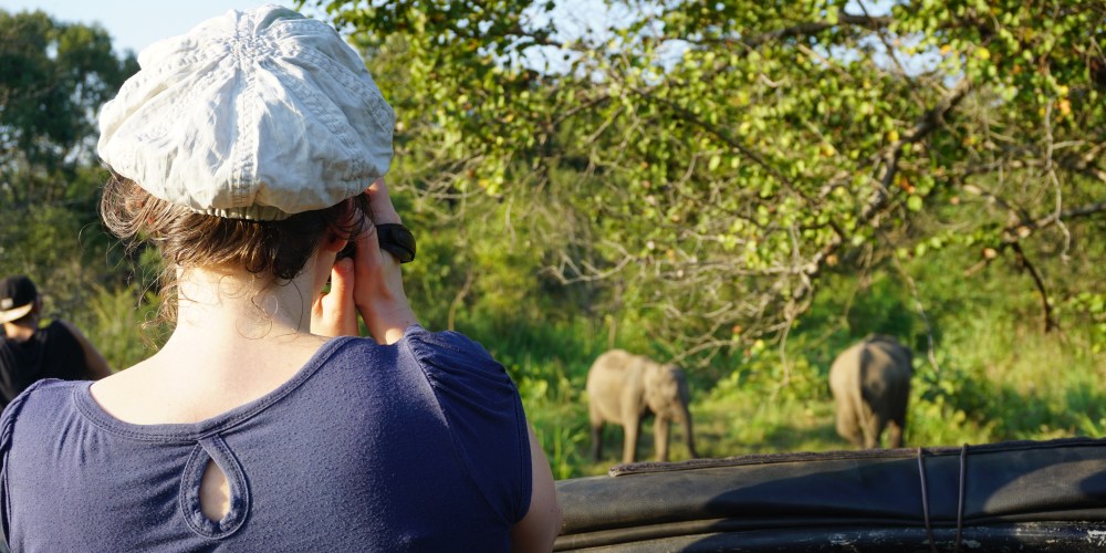 Safari-Gast fotografiert Elefanten in Nationalpark in Sri Lanka