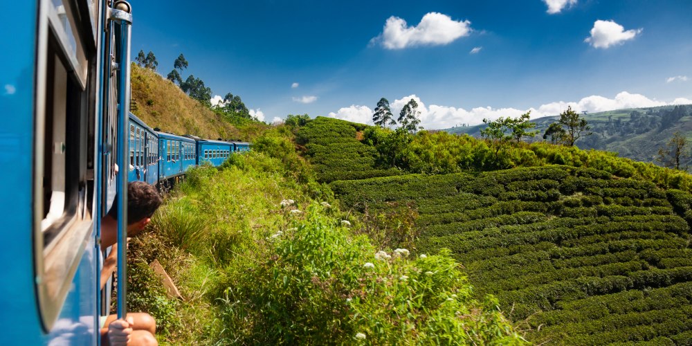Zug fährt durch Teehochland von Sri Lanka bei Nuwara Eliya