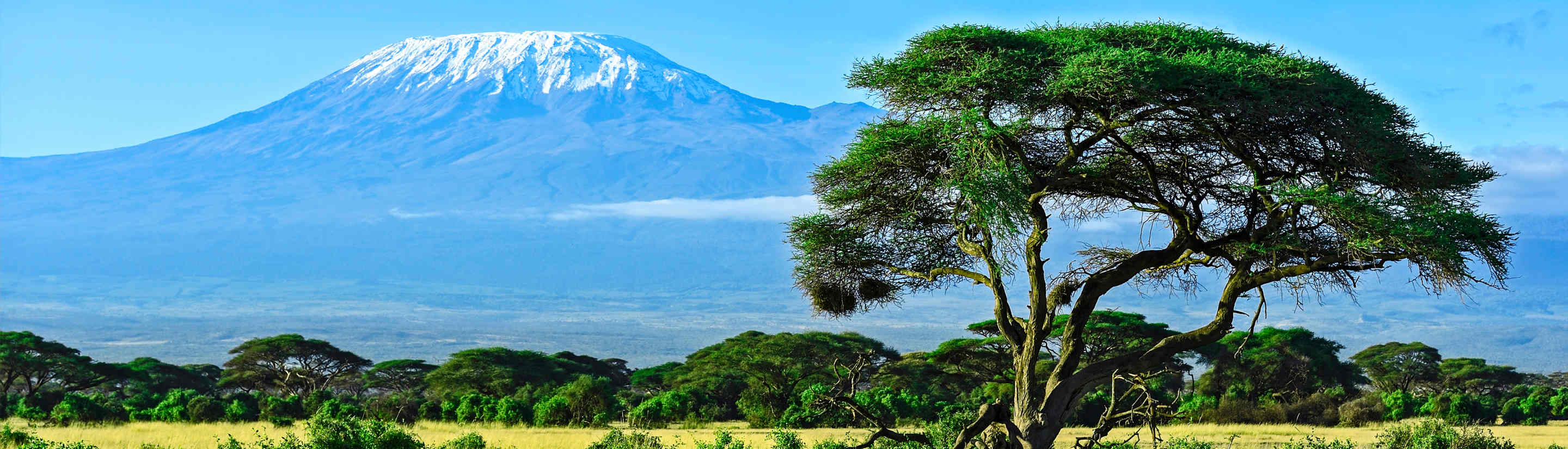 Kenia-Rundreise: der Safari Klassiker 