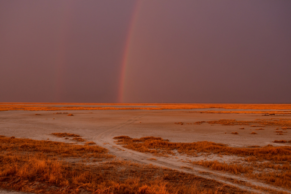 Sonnenuntergang in der Wüste mit Regenbogen